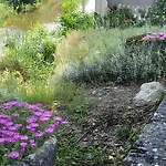Au Bord De La Jonte L'aubriete * Peyreleau