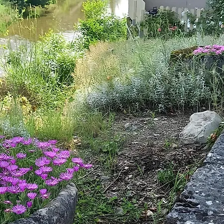 Au Bord De La Jonte L'aubriete * Peyreleau