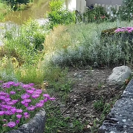 Au Bord De La Jonte L'aubriete 別荘 *