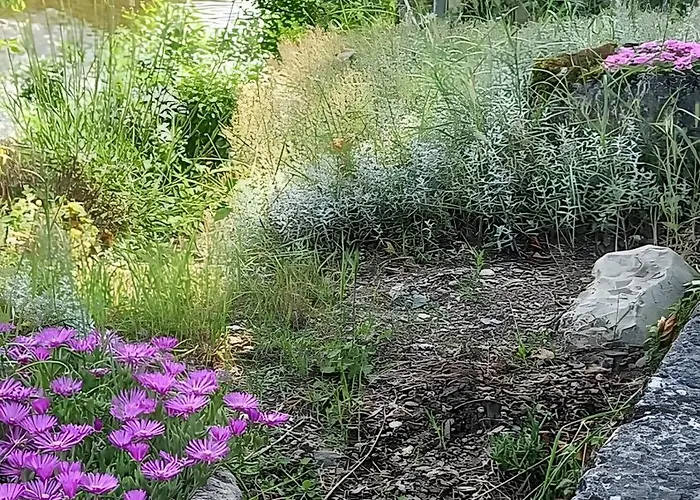 Au Bord De La Jonte L'aubriete * Peyreleau